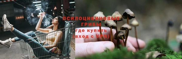 герыч Алексеевка