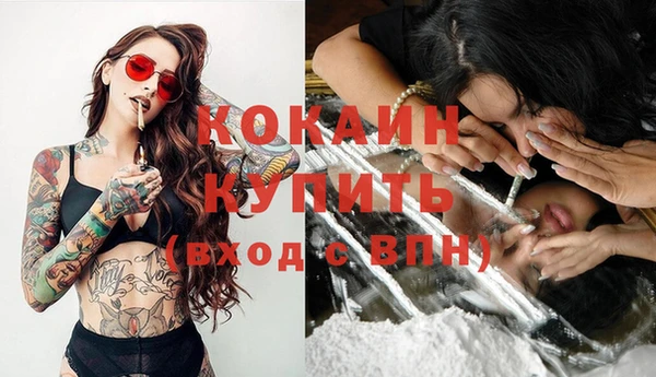 стафф Алзамай