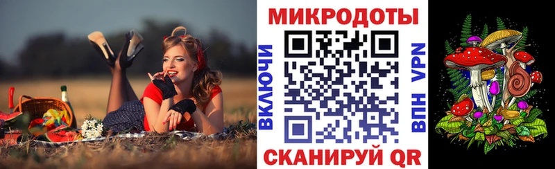 Купить где  Вольск  Псилоцибиновые грибы Psilocybe 